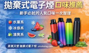 拋棄式電子煙口味推薦