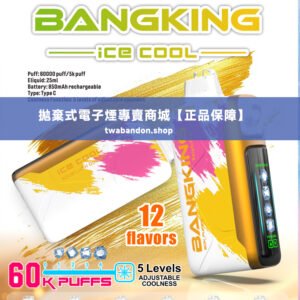 bang king拋棄式電子煙｜王嘉爾同款升級款｜5檔調節涼度拋棄式大容量小煙