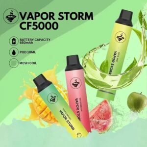 Vapor Storm風暴拋棄式5000口一次性電子煙🔥買5送1🔥限時特惠
